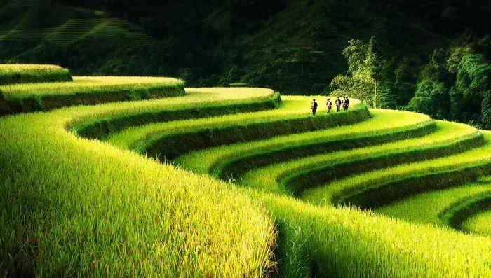 Dạo Việt Nam săn lùng những điểm đến đốn tim khách du lịch