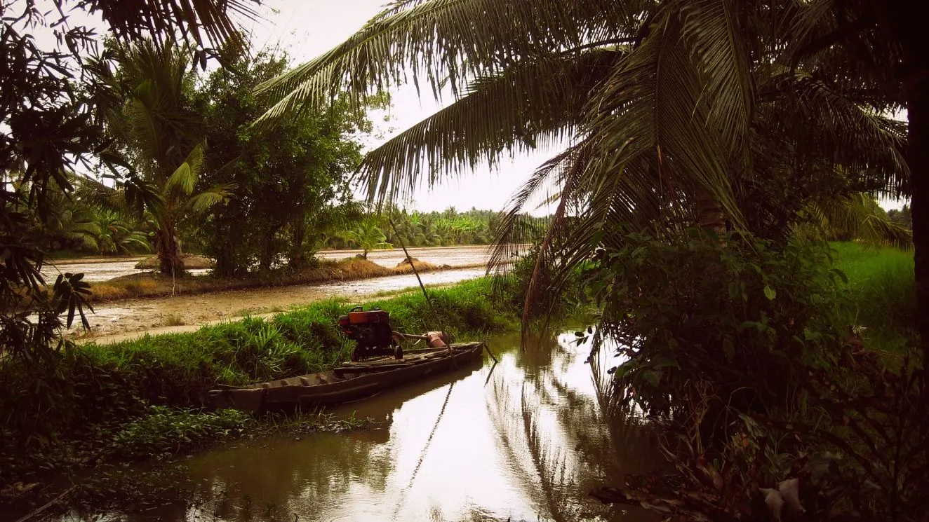 Đến Bến Tre say đắm bóng dừa Đến Bến Tre say đắm bóng dừa