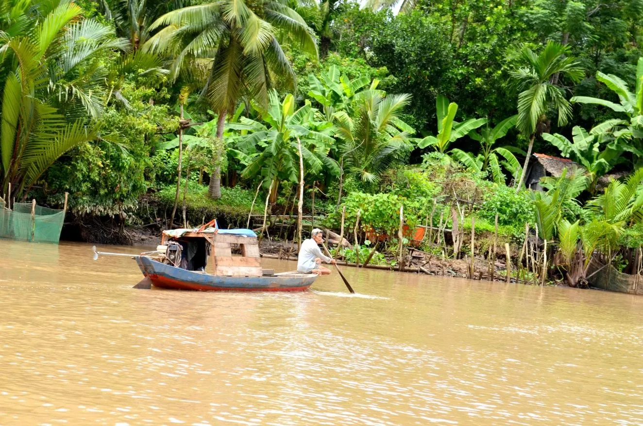Đến Bến Tre say đắm bóng dừa