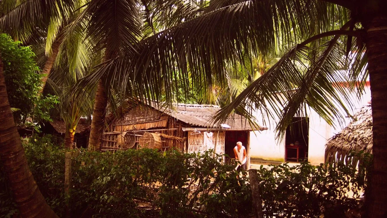 Đến Bến Tre say đắm bóng dừa