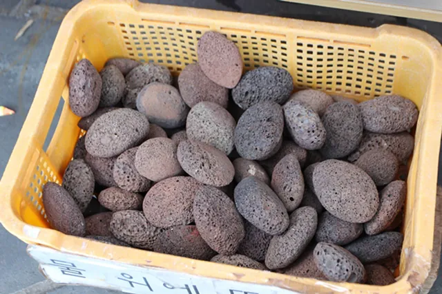 Đến đảo Jeju ngắm đá đen Đến đảo Jeju ngắm đá đen