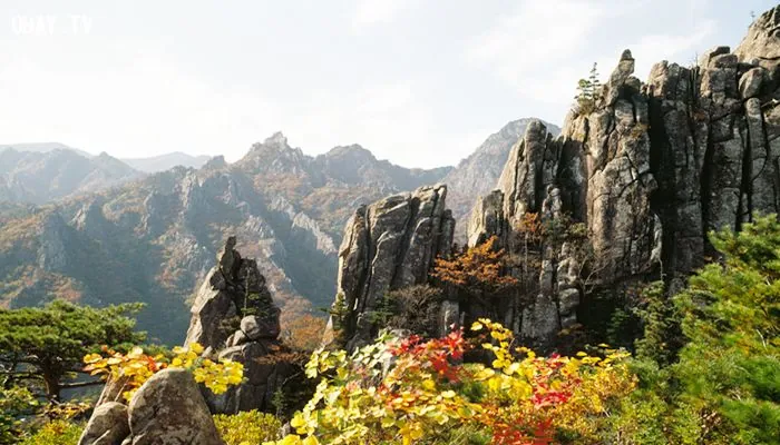Đến Hàn Quốc chinh phục 5 ngọn núi tuyệt đẹp nhất Núi Odaesan Pyeongchang tỉnh Gangwon-do