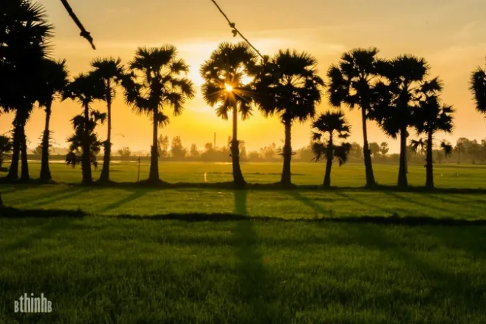 Đẹp lắm An Giang mùa nước nổi Đẹp lắm An Giang mùa nước nổi
