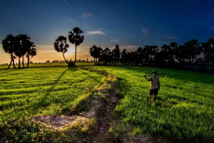 Đẹp lắm An Giang mùa nước nổi Đẹp lắm An Giang mùa nước nổi
