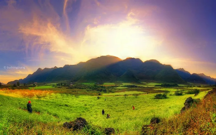 Đẹp mơ màng Mộc Châu những ngày thu về