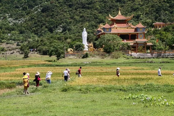 Điểm danh top 6 cù lao đẹp nhất Việt Nam phần 1