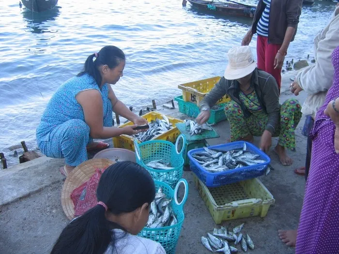 Điểm danh top 6 cù lao đẹp nhất Việt Nam phần 1