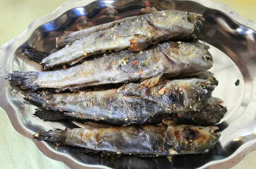 Du lịch Cà Mau thưởng thức 10 món đặc sản cực ngon