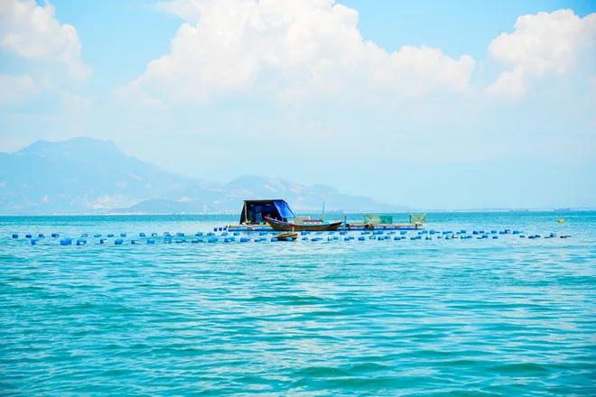 Du lịch Cam Ranh khám phá vẻ đẹp hoang sơ ở đảo Robinson