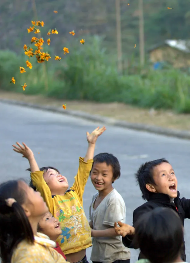 Du lịch Hà Giang có một mùa hoa cúc ở Đồng Văn Du lịch Hà Giang có một mùa hoa cúc ở Đồng Văn