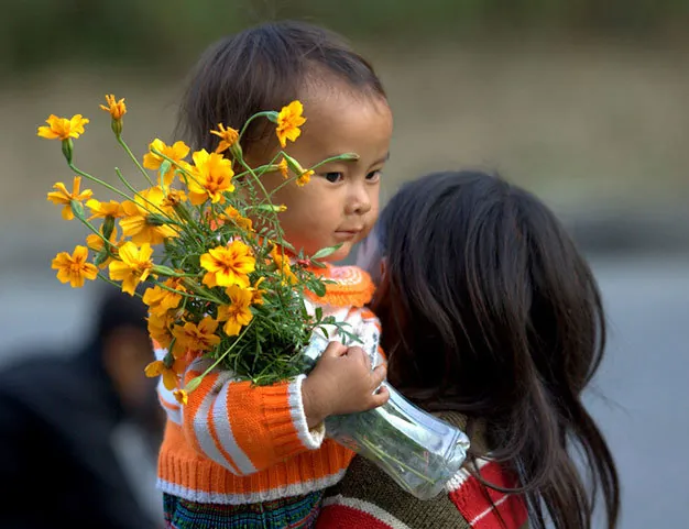 Du lịch Hà Giang có một mùa hoa cúc ở Đồng Văn Du lịch Hà Giang có một mùa hoa cúc ở Đồng Văn