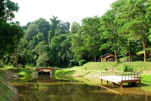Du lịch Malaysia mê mẩn trước vẻ đẹp thiên đường của quần đảo Langkawi công viên sinh thái Kilim Karst