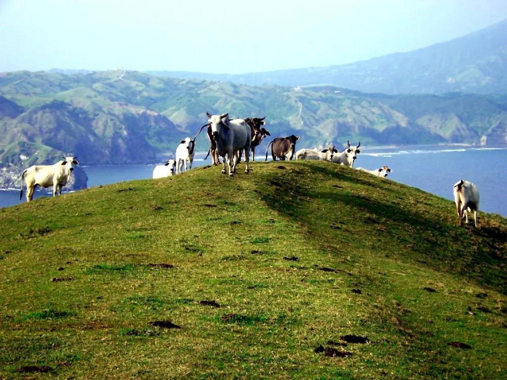 Du lịch Philippines Cẩm nang từ A đến Z