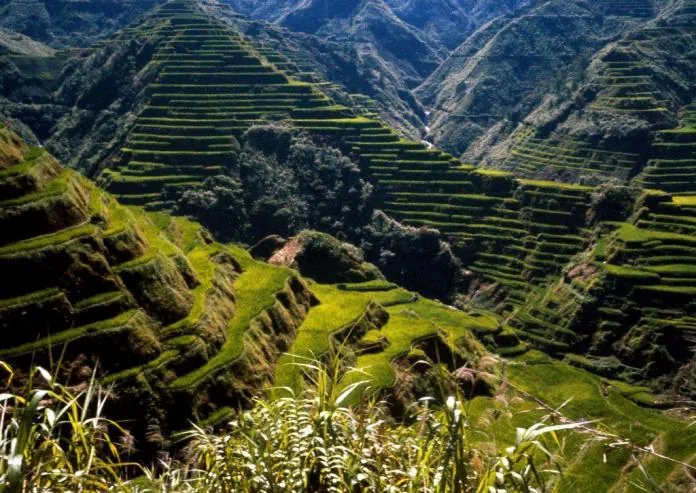 Du lịch Philippines Cẩm nang từ A đến Z