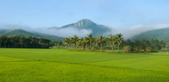 Du lịch Phú Yên đâu chỉ hoa vàng với cỏ xanh phú yên đâu chỉ hoa vàng với cỏ xanh