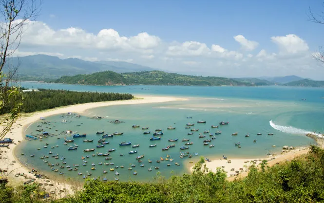 Du lịch Phú Yên đâu chỉ hoa vàng với cỏ xanh phú yên đâu chỉ hoa vàng với cỏ xanh