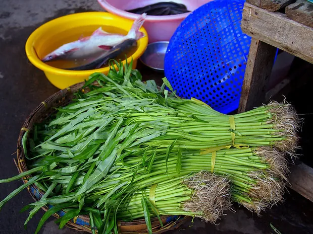 Buôn bán bên bờ sông Cửu Long