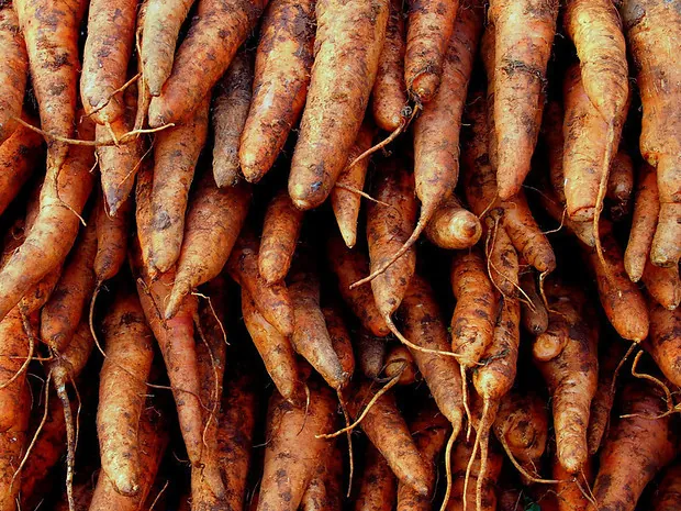 Buôn bán bên bờ sông Cửu Long