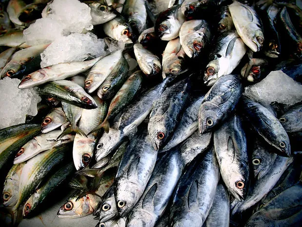 Buôn bán bên bờ sông Cửu Long
