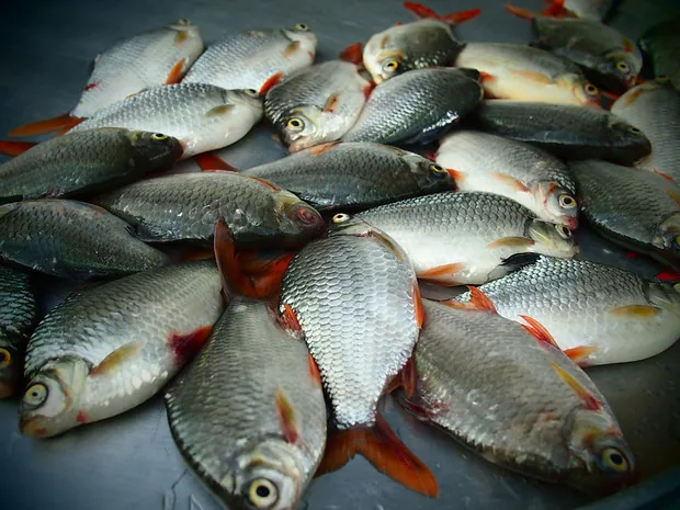 Buôn bán bên bờ sông Cửu Long