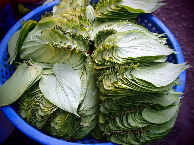 Buôn bán bên bờ sông Cửu Long