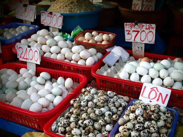 Buôn bán bên bờ sông Cửu Long