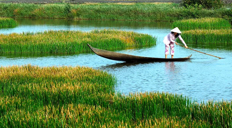 Giải đáp những thắc mắc thường gặp khi du lịch Cà Mau Giải đáp những thắc mắc thường gặp khi du lịch Cà Mau