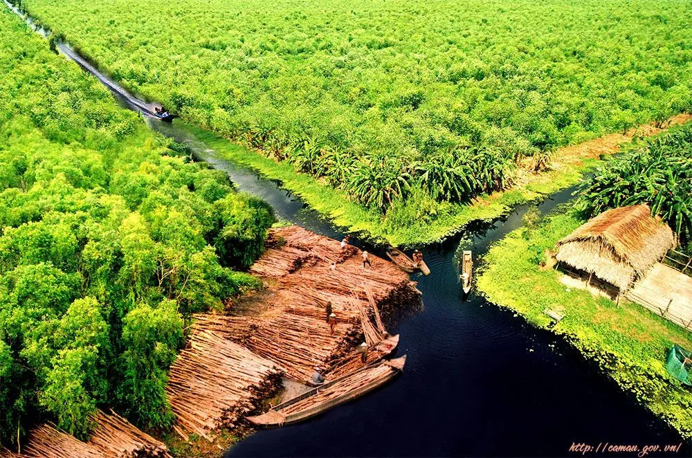 Giải đáp những thắc mắc thường gặp khi du lịch Cà Mau Giải đáp những thắc mắc thường gặp khi du lịch Cà Mau
