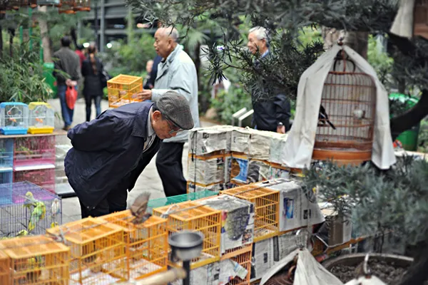 Gợi ý chi tiết ăn chơi Hong Kong của Brad Lau Gợi ý chi tiết ăn chơi Hong Kong của Brad Lau