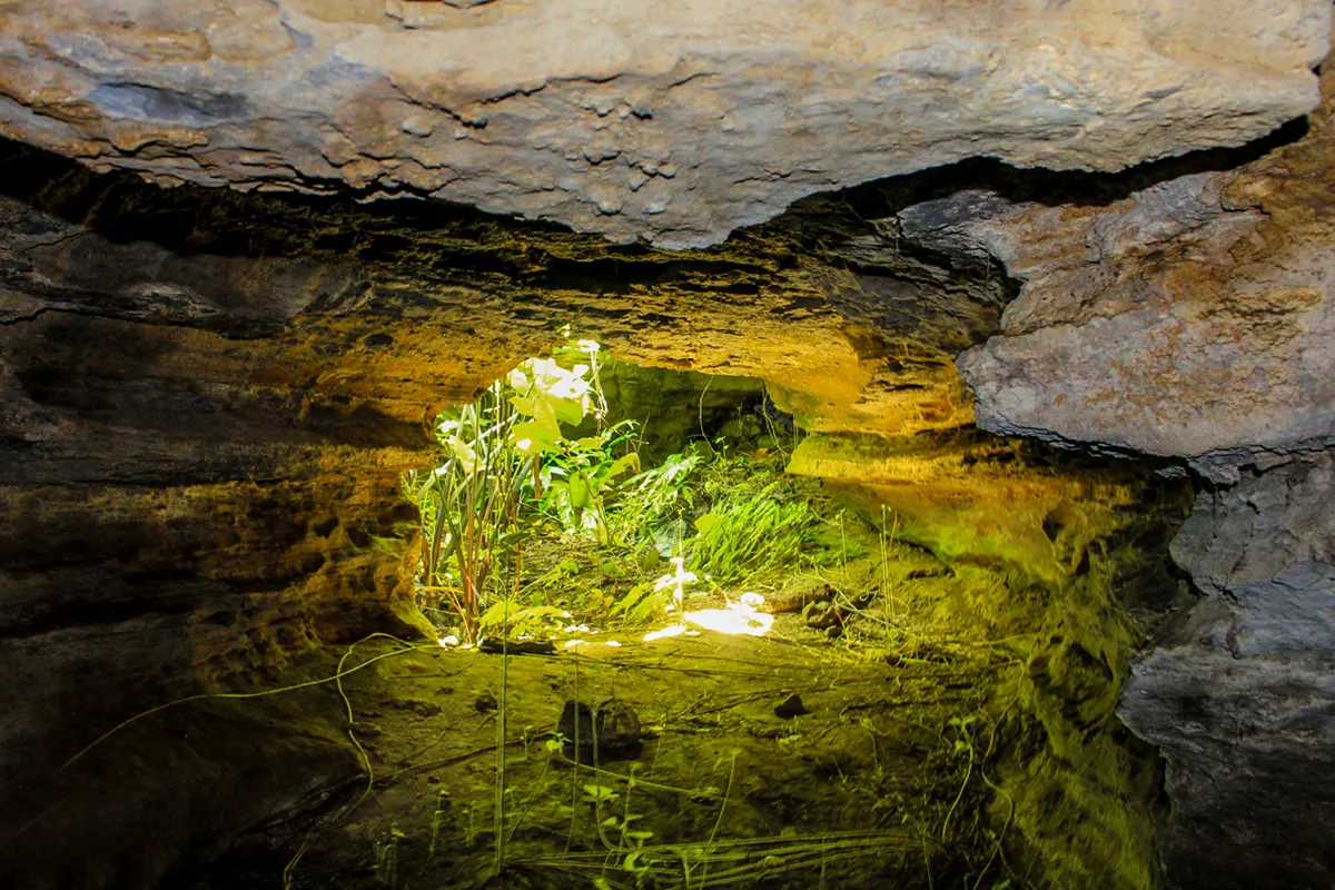 Hang dơi Tiên An công viên kỷ Jura bị lãng quên hang dơi tiên an quảng nam