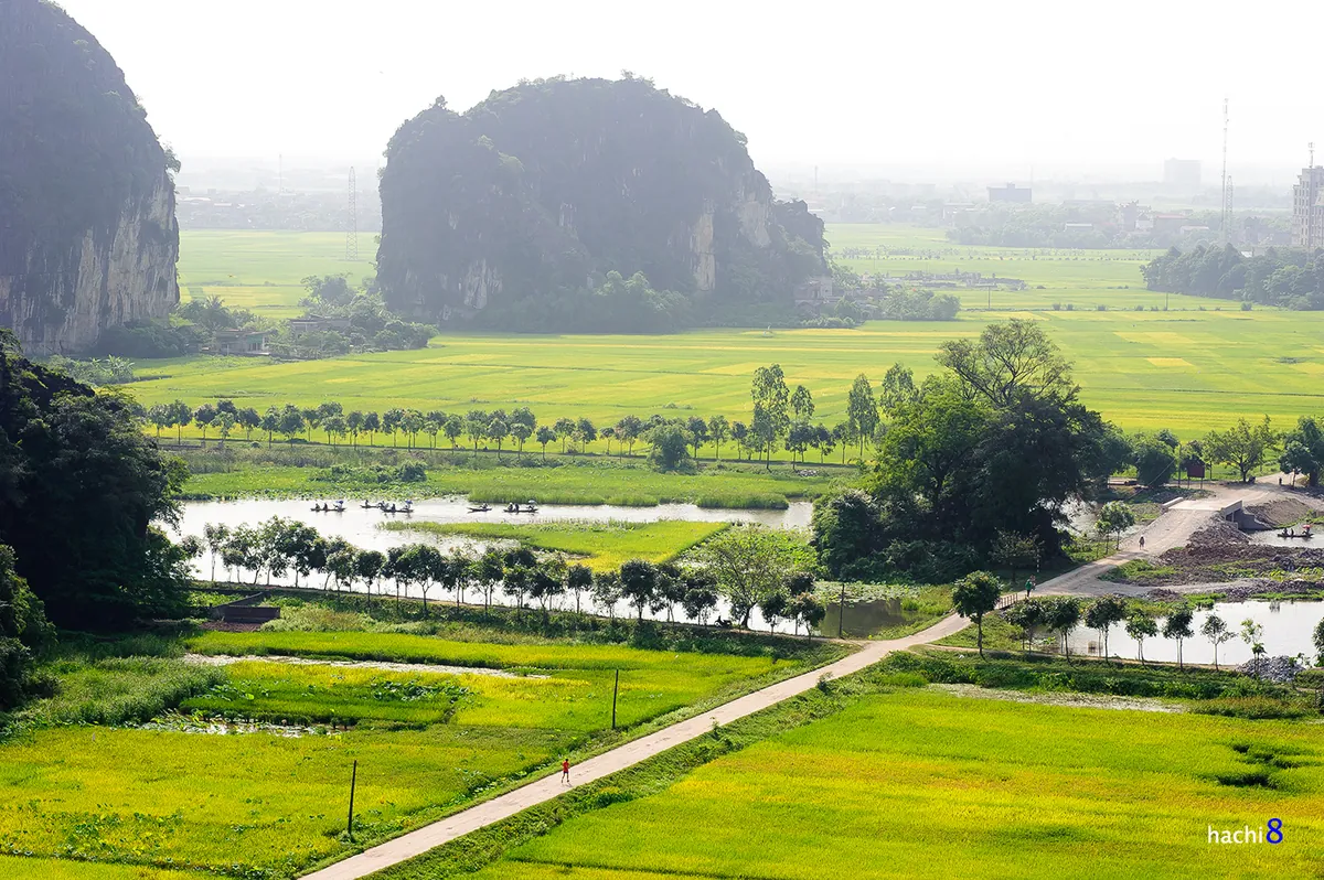 Hang Múa - nơi ngắm mùa lúa chín ở Tam Cốc Hang Múa nơi ngắm mùa lúa chín ở Tam Cốc