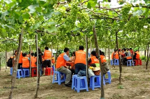 Hành trình đi qua miền cát trắng ở Ninh Thuận Hành trình đi qua miền cát trắng ở Ninh Thuận