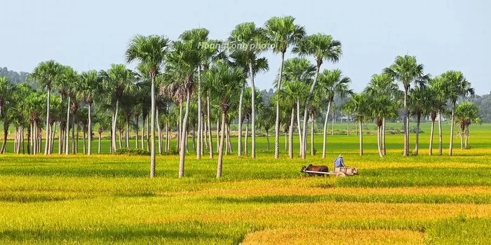 Hành trình du lịch Thanh Hóa từ A đến Z - kỳ 2 Hành trình du lịch Thanh Hóa từ A đến Z kỳ 2