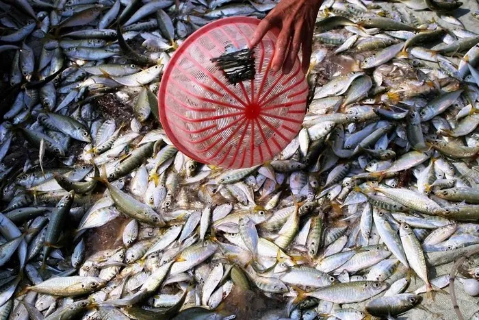 Hành trình du lịch Thanh Hóa từ A đến Z - kỳ 2 Hành trình du lịch Thanh Hóa từ A đến Z kỳ 2