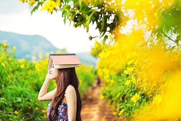 Hành trình khám phá Đà Lạt mùa dã quỳ nở hoa Hành trình khám phá Đà Lạt mùa dã quỳ nở hoa