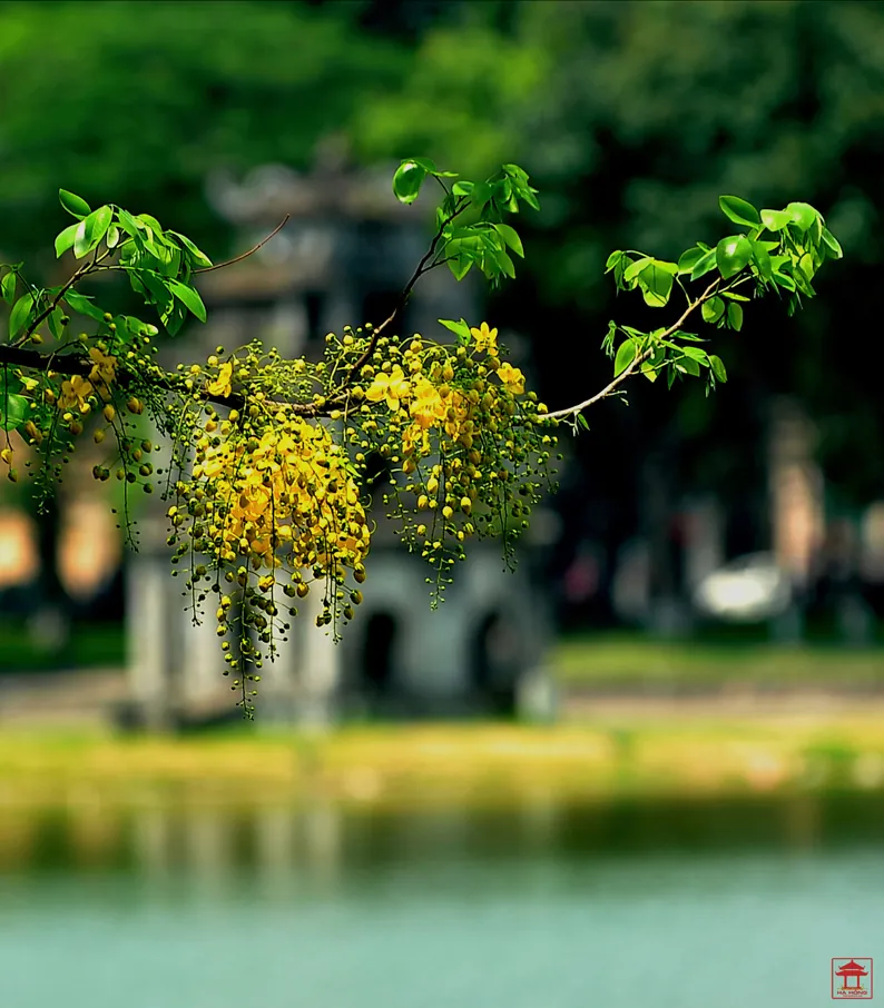 Hồ Gươm trong khoảnh khắc lạ thường Hồ Gươm trong khoảnh khắc lạ thường