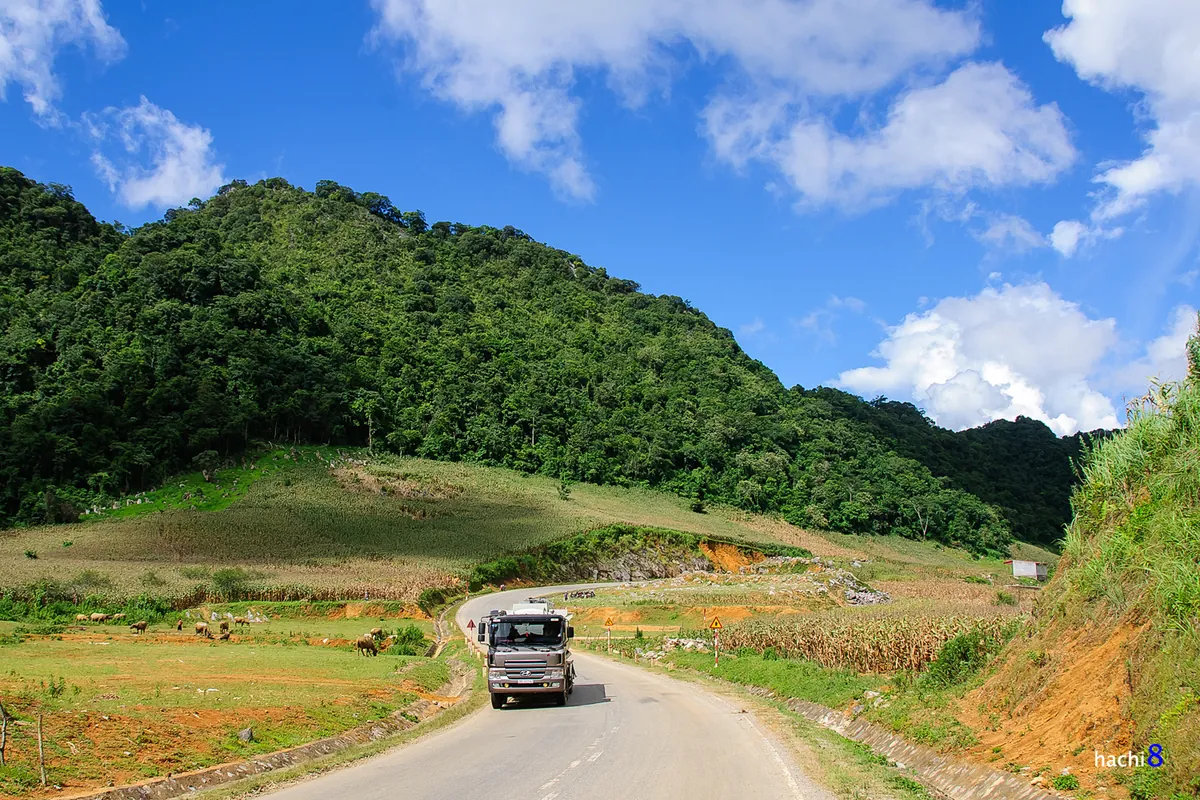 Hoa cải trắng tinh khôi trong tiết giao mùa ở Mộc Châu Hoa cải trắng tinh khôi trong tiết giao mùa ở Mộc Châu