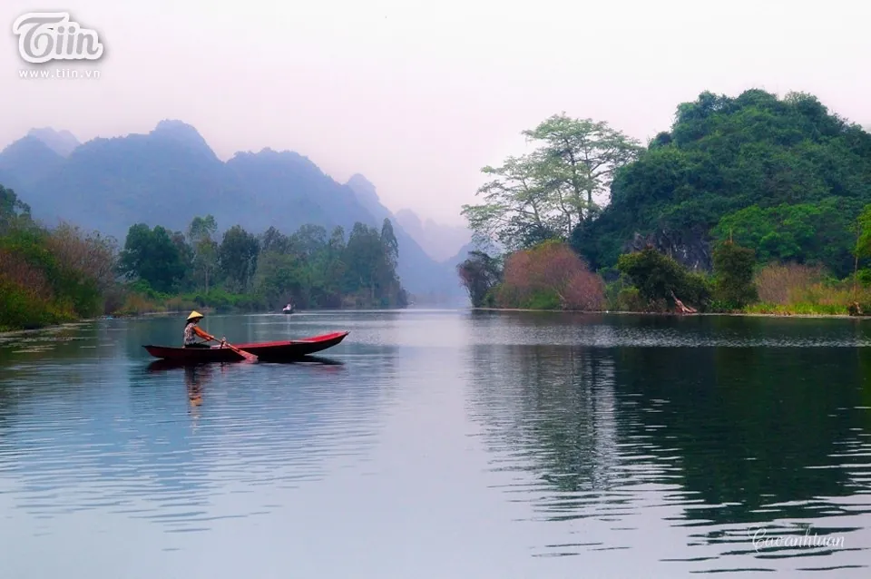 hoa súng suối yến mùa thu