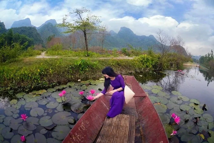 hoa súng suối yến mùa thu