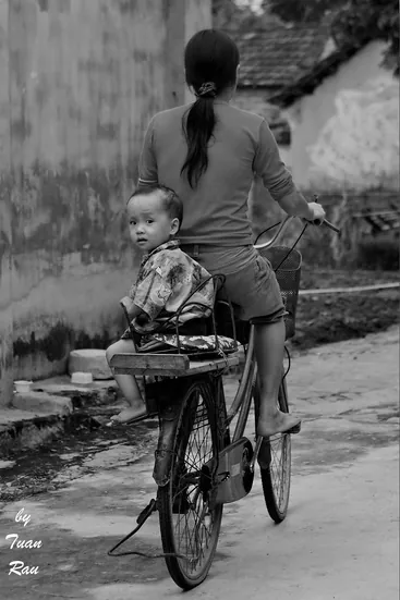 Hồn quê mộc mạc ở làng cổ Đường Lâm Hồn quê mộc mạc ở làng cổ Đường Lâm