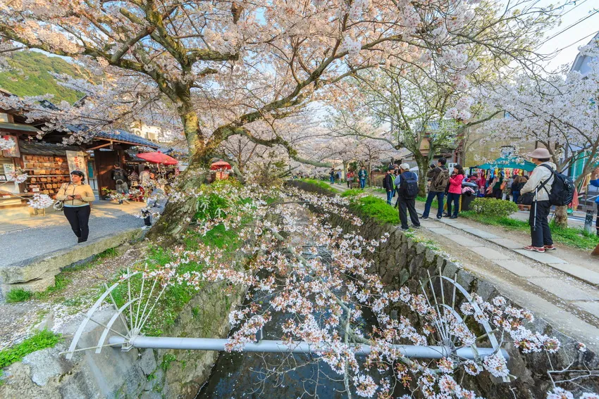 Hướng dẫn di chuyển tới những điểm đến tuyệt nhất của du lịch Kyoto Hướng dẫn di chuyển tới những điểm đến tuyệt nhất của du lịch Kyoto