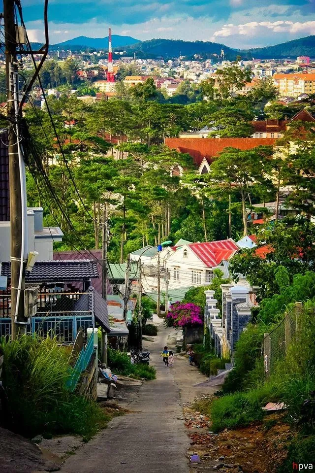 Khám phá Đà Lạt qua những góc ảnh đầy ảo diệu Khám phá Đà Lạt qua những góc ảnh đầy ảo diệu