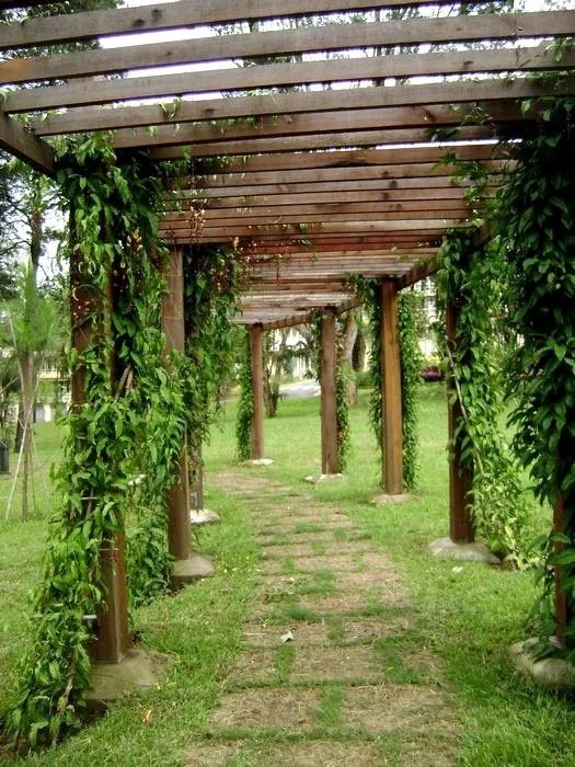 Khám phá Đà Lạt qua những góc ảnh đầy ảo diệu Khám phá Đà Lạt qua những góc ảnh đầy ảo diệu