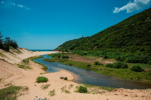 Khám phá nơi đón ánh bình minh đầu tiên của Việt Nam Khám phá nơi đón ánh bình minh đầu tiên của Việt Nam