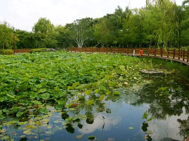 Khám phá thung lũng Hàn Quốc Khám phá thung lũng Hàn Quốc
