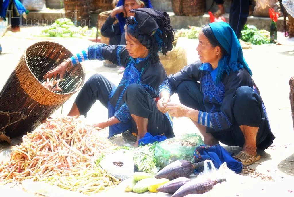 Khám phá Y Tý - bản làng trong mây Khám phá Y Tý - bản làng trong mây