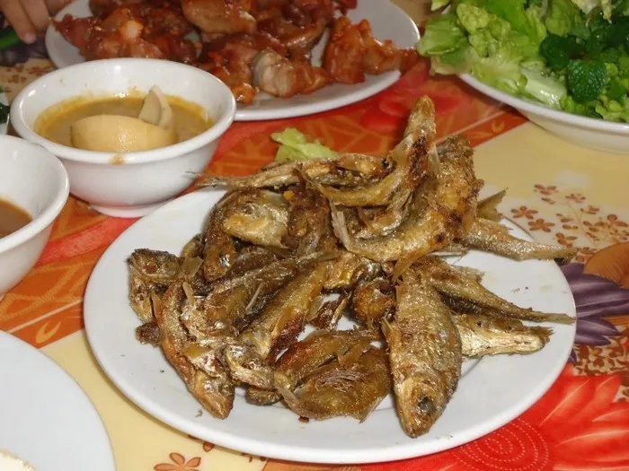Kinh nghiệm chinh phục đỉnh Pha Luông Kinh nghiệm chinh phục đỉnh Pha Luông