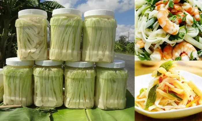 Kinh nghiệm cho chuyến du lịch Bạc Liêu hoài cổ
