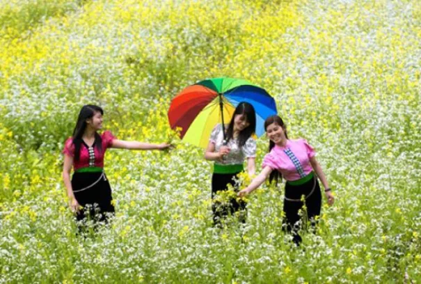Kinh nghiệm du lịch bụi Mộc Châu Kinh nghiệm du lịch Mộc Châu
