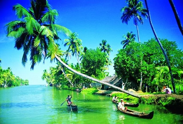 Kinh nghiệm du lịch miệt vườn Nam Bộ